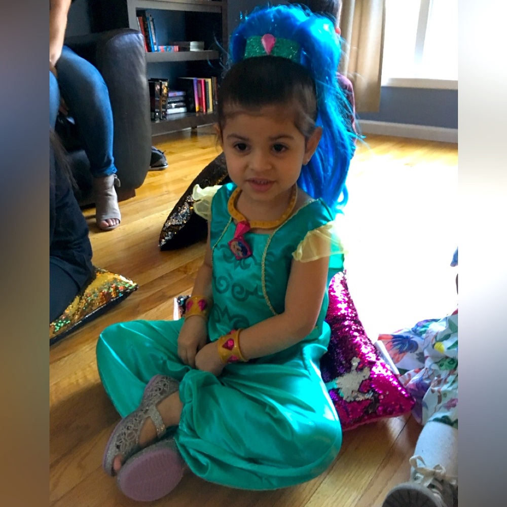 Shimmer & Shine dress up. (Shine) Only. Size 4-6x.